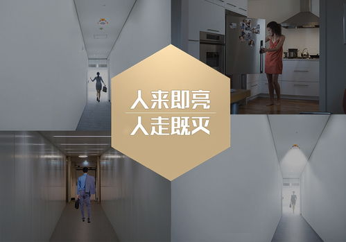 智能家居研發(fā) 聚焦實(shí)用價(jià)值，規(guī)避“無(wú)用創(chuàng)新”陷阱